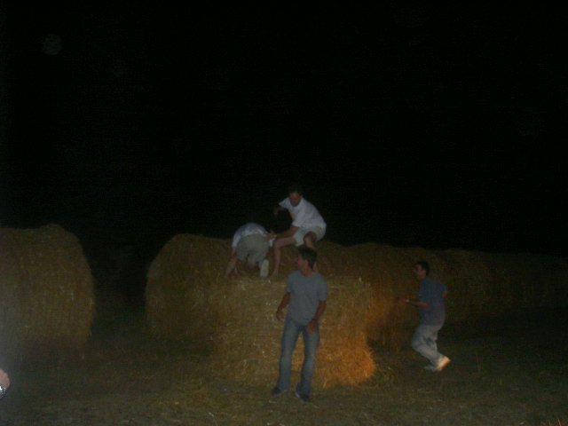 Al suelo coo!