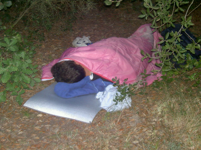 En el Brull tambin se duerme?